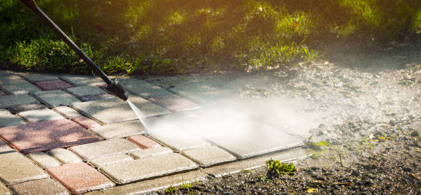 Solar Panel Cleaning in Chandler, TX
