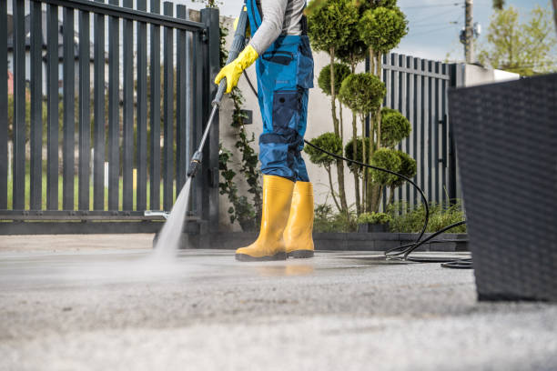 Best Gutter Cleaning  in Chandler, TX